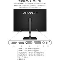 JAPANNEXT 28.2インチ 4K Plus液晶ディスプレイ JN-282IPS4KP-HSP 1台（直送品）