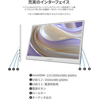 JAPANNEXT 15.6インチ ワイド モバイルディスプレイ JN-MD-IPS156F2-W 1台（直送品）