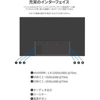 JAPANNEXT 21.5インチ ワイド モバイルディスプレイ JN-MD-V215F-N 1台（直送品）