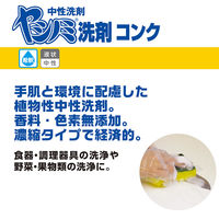サラヤ ヤシノミ洗剤コンク 5kg 1セット（1本×3） 食器用洗剤