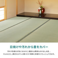 萩原 国産い草カーペット 天草 団地間6帖 159067660 1枚（直送品）