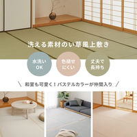 萩原 洗えるい草風カーペット 四条 江戸間8帖 159058980 1セット(2個入)（直送品）