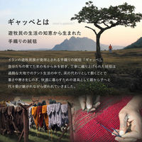 萩原 ギャッベ チェアパッド GABBEH TX 約40×40cm 270104010 1枚（直送品）