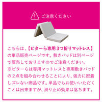 萩原 ピターら 高反発マットレス D ダブル 270609202 1枚（直送品）