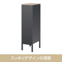 【軒先渡し】ナカバヤシ アバンテ・リネア フロアストレージ 深9段 幅277×奥行400×高さ1070mm ブラック 1台（直送品）