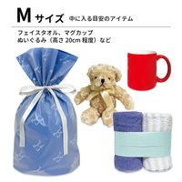 エスパック フロストリボン付ギフトバッグFORYOU M 20枚入 ネイビー FH-MN-AS 1袋(20枚入)（直送品）