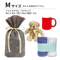 エスパック フロストリボン付ギフトバッグFORYOU M 20枚入 ブラウン FH-MB-AS 1袋(20枚入)（直送品）