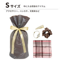 エスパック フロストリボン付ギフトバッグFORYOU S 20枚入 ブラウン FH-SB-AS 1袋(20枚入)（直送品）