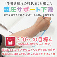共栄プラスチック 軟質 下敷き 透明カラーのしっかりシタ字キ A4 ソーダ TCS-A4-SO 1セット(1枚×2)（直送品）