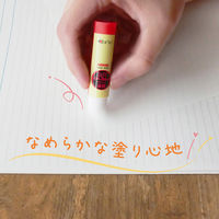 ヤマト 固形アラビック YS 5g フック袋入り YS-5H 1セット(10本)（直送品）