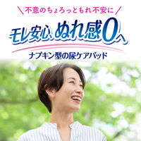 軽失禁 尿漏れ ライフリーさわやかパッド 100cc60枚    1セット（1個×5） ユニ・チャーム