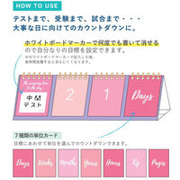 学研ステイフル カウントダウンカレンダー 卓上 ピンク DM10083 1個（直送品）