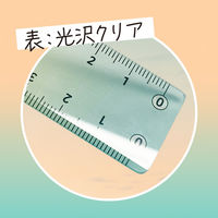 共栄プラスチック そら色じょうぎ 17cm SO-17-05 1本（直送品）