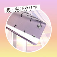 共栄プラスチック そら色じょうぎ 17cm SO-17-03 1本（直送品）