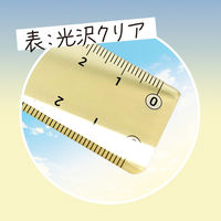 共栄プラスチック そら色じょうぎ 17cm SO-17-02 1本（直送品）