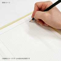 共栄プラスチック そら色したじき A4 SO-A4-02 1枚（直送品）