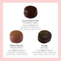 セバスチャン・ブイエ マカリヨン 3個　ギフトカード　二重封筒／熨斗（御中元）（直送品）