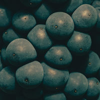 ヴーヴ クリコ ロゼ ヴィンテージ 2015 750ml(2本箱入り)　ギフトカード　二重封筒／熨斗（御中元）（直送品）