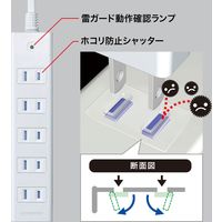 延長コード 電源タップ 2m 2P（ピン） 6個口 マグネット ホワイト TAP-SP2116MG-2WN サンワサプライ 1個（直送品）