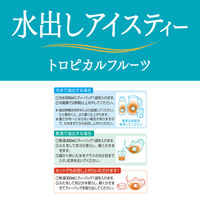 日東紅茶 水出しアイスティートロピカルフルーツ 1袋(10バッグ入) ティーバッグ