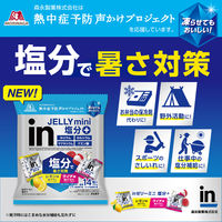 inゼリー（インゼリー） ミニ 塩分＋　1セット（1袋（14個入）×2）　レモン味・ライチ味 2種アソート　塩分プラス