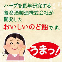 養命酒製造 養命酒製造クロモジのど飴和みミント 64g×48袋 4987236019128 1セット(64g×48袋)（直送品）