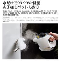 ケルヒャー スチームクリーナー SC MINI 1.516-339.0 1台 KARCHER