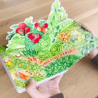 コクヨ 絵本 いろんなおやさいどこになる？ 1冊 KE-WC59