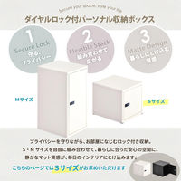 【軒先渡し】B.Bファニシング ロック付き収納 レクタンボックスS 幅300×奥行360×高さ300mm ベージュ 1台（直送品）