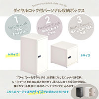 【軒先渡し】B.Bファニシング ロック付き収納 レクタンボックスM 幅300×奥行360×高さ600mm ベージュ 1台（直送品）