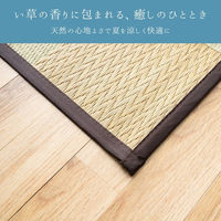 イケヒコ DXサラ い草カーペット 2610×2610mm ブラウン 1030280060402 1枚（直送品）