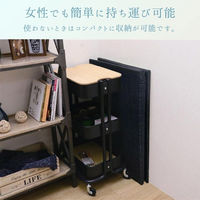 イケヒコ スタイル ユニット畳 820×1640mm グレー 1040281130313 1枚（直送品）