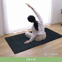 イケヒコ スタイル ユニット畳 820×1640mm ネイビー 1040281190313 1枚（直送品）