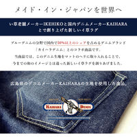 イケヒコ ラルフ い草ラグ 600×900mm カーキ 1080510124604 1枚（直送品）