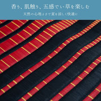 イケヒコ 剣ヶ峰 い草ラグ 2000×2000mm ブラック 1080800033203 1枚（直送品）