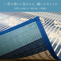 イケヒコ フランク い草カーペット 1910×2500mm ブルー 1081320043303 1枚（直送品）