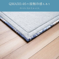 イケヒコ ラピス 竹ラグ 1800×2400mm 1100180014601 1枚（直送品）