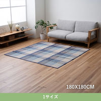 イケヒコ スライド 竹ラグ 1800×1800mm ブルー 1100390044511 1枚（直送品）