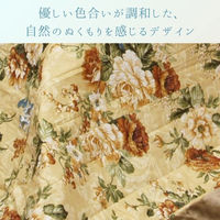 イケヒコ シフォン グリーン 205×245cm 1160170120203 1個（直送品）