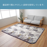 イケヒコ アムル グレー 205×205cm 敷:190×190cm 1161460130101 1個（直送品）