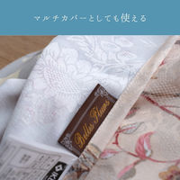 イケヒコ ハンナ ベージュ 210×290cm 1170680028950 1個（直送品）