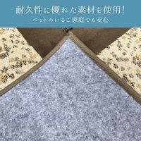 イケヒコ ディエゴ ラグ 2000×2000mm ブラウン 1320810060502 1枚（直送品）