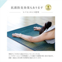 イケヒコ ボタニカル い草ラグ 660×1850mm ベージュ 1330010020304 1枚（直送品）