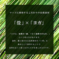 イケヒコ チャクラ - 66×185cm 1331280010303 1個（直送品）