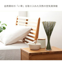 イケヒコ みらい フレグラス 600mm 1370090010904 1枚（直送品）