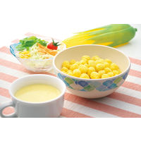 スナック菓子 とうもろこしパフスナック 塩味　55g 1セット(1個×5)