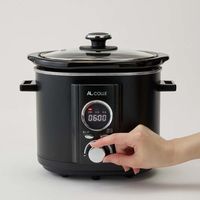 アルファックスコイズミ スロークッカーミニ ASC20/K 1台