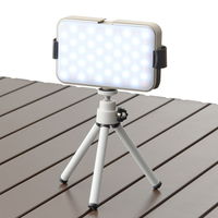 野電 バッテリーPANELライト 74176060 LOGOS/ロゴス