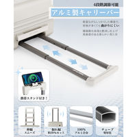 スーツケース 拡張機能・HINOMOTO超静音キャスター【NT-XB0502】 NT-XB0502 オートミールグレー L 1台（直送品）