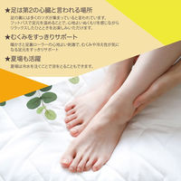 ダイアモンドヘッド ROOMMATE 折りたたみフットバス RM-239H 1台（直送品）